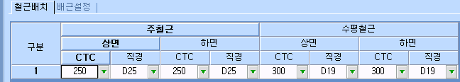 '철근배치' 탭 표로, 주철근과 수평철근의 상면·하면별 CTC와 직경을 지정하는 화면. 주철근 CTC 250·D25, 수평철근 CTC 300·D19가 입력됨.
