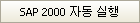 ‘SAP 2000 자동 실행’ 버튼