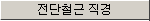 ‘전단철근 직경’ 항목 이름이 표시된 입력 필드 라벨
