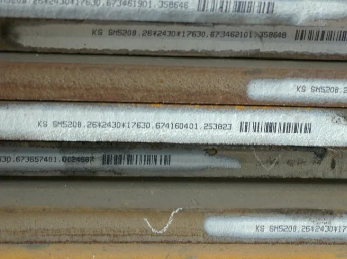 매뉴얼 그림