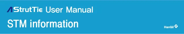AStrutTie User Manual banner with the section title "STM information" and the HanGil logo on a blue background.
